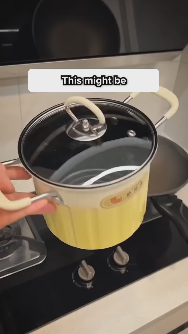 3L Large Capacity Deep Fryer with Stainless Steel Strainer